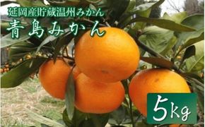 青島みかん（5kg）12月下旬から発送 N050-YA0447