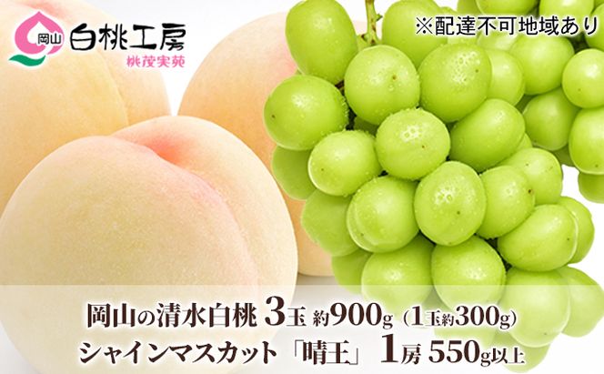 桃 ぶどう 2026年 先行予約 清水白桃 3玉合計 約900g（1玉約300g） シャインマスカット 晴王 1房 550g以上 詰合せ 白桃 もも 葡萄 ブドウ シャイン マスカット 岡山県産 国産 フルーツ 果物 桃茂実苑