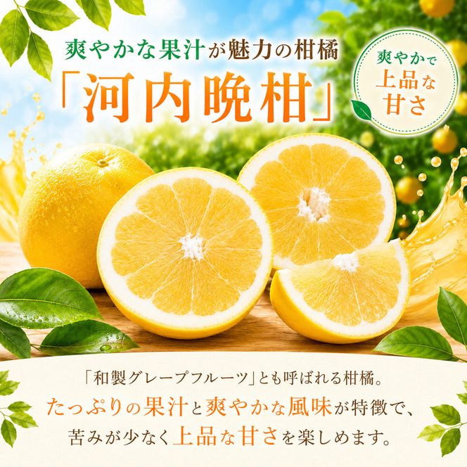 冷凍 河内晩柑 500g×1袋 小分け 愛南ゴールド 和製グレープフルーツ おやつ 柑橘 かんきつ 冷凍 冷凍柑橘 冷凍みかん 夏 アイス スムージー シャーベット みかん職人武田屋 愛媛県 愛南町