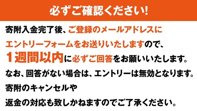 第20回ちくせいハーフマラソン 出走権 ( 5kmの部 ) 筑西市誕生20周年記念 日本陸連公認コース マラソン大会 参加権 スポーツ マラソン イベント [ZZ028ci]