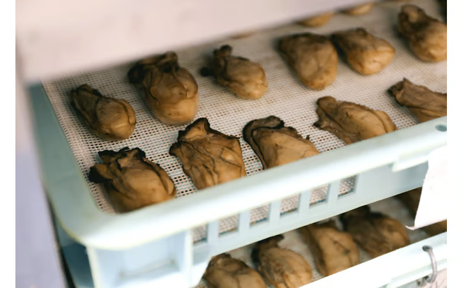 牡蠣 の 燻製 オリーブ オイル漬 アヒージョ 牡蠣味噌 佃煮 生姜 のセット [ディナーライン] 惣菜 瓶詰め [№5735-0403]