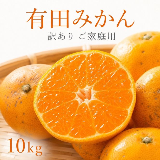 ［ご家庭用訳あり］有田みかん10kg 2S〜2Lサイズ混合 AN071