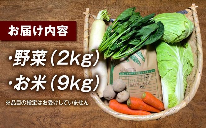 愛西市産 あいちのかおり9kgと旬の季節野菜詰め合わせ お米 精米 野菜 愛西市 / お米の三輪[AECM003]