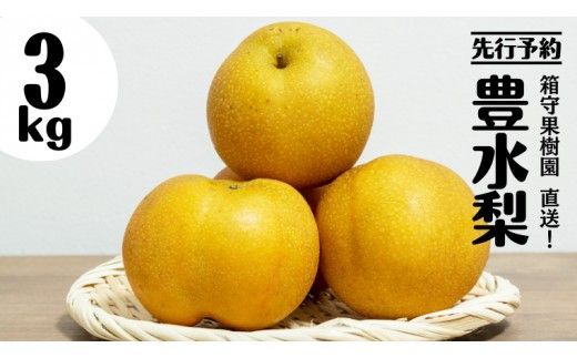 【 先行予約 】箱守果樹園 直送！ 豊水梨 3kg なし 梨 ほうすい 豊水 果実 果物 フルーツ [DE001ci]