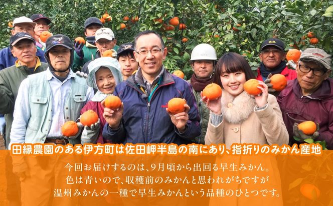 【先行予約】【数量限定】田縁農園の早生みかん（生果）5kg （2026年11月10日より順次発送）IKTA001