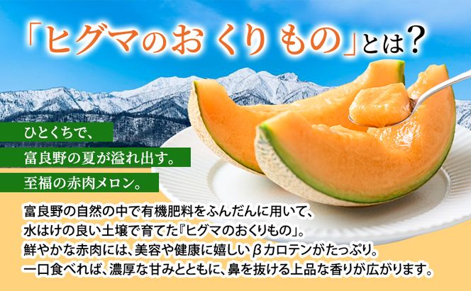 【2026年夏発送】富良野産 ヒグマのおくりもの(メロン)[1玉2kg以上] フルーツ 果物