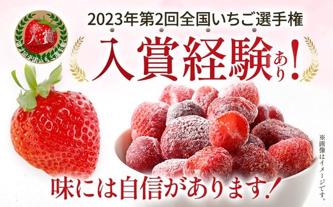 いちご あまおう 博多あまおう 暖家の冷凍いちご 苺 フルーツ 果物 くだもの 500g×2袋 1000g 1kg 冷凍あまおう 入賞 真空パック ヘタ処理済み IPM 福岡県 福岡 九州 グルメ お取り寄せ