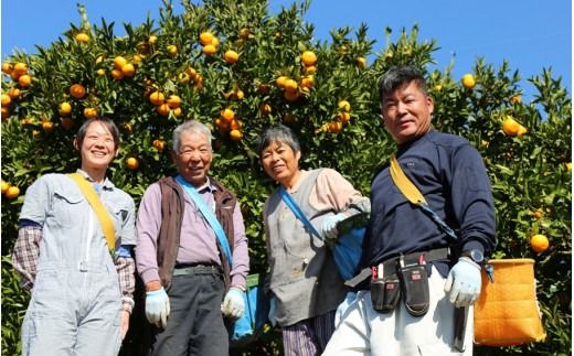 【先行予約・年明け配送】 令和7年1月から出荷開始 / 荒木一番みかん約10kg _1422R-2