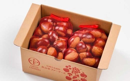無くん蒸小布施栗 約1kg 約2kg 選べる内容量 ［おぶせファーマーズ］ 果物 フルーツ 生栗 くり 長野県産 信州産 令和7年産 【2025年9月中旬〜11月上旬発送】