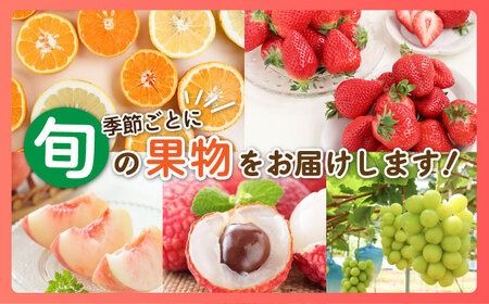 【全5回】糸島厳選くだもの定期便 約2人前 フルーツ 果物 糸島市 / やますえ あまおう シャインマスカット 桃 ライチ [AKA072]