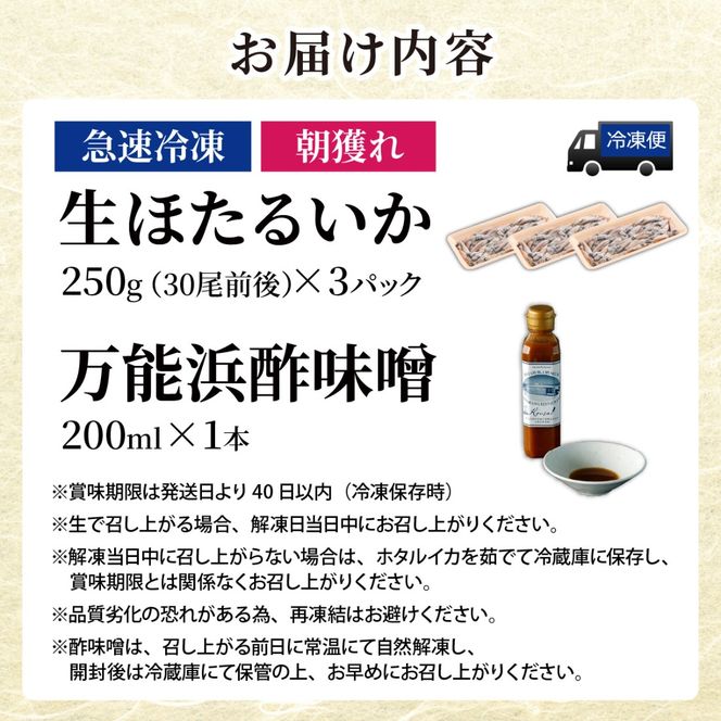 生ホタルイカ急速冷凍とオリジナル万能酢味噌付き【カネツル砂子商店】 [A-002012] 