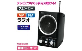 ＡＭ／ＦＭスピーカーラジオ ER-SP39F 272183_AZ19