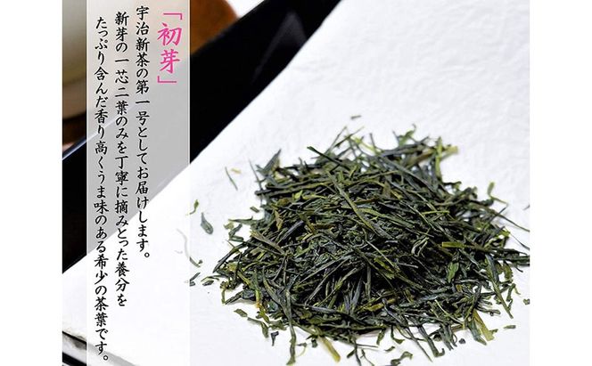 京都茶匠きよ泉の宇治新茶3袋セット〈お茶 茶 新茶 緑茶 煎茶 セット 茶葉 飲料〉