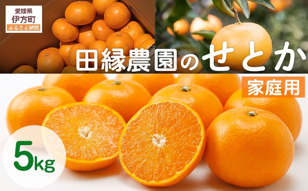 [先行予約][家庭用]せとか 5kg ※離島への配送不可 (2026年3月5日より順次発送)
