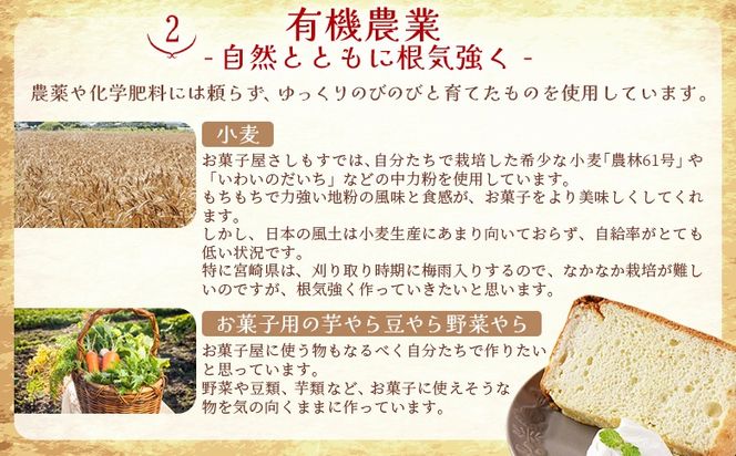 ＜シフォンケーキ5種セット 計10個（5種類×2個）＞翌月末迄に順次出荷【 ケーキ 洋菓子 焼き菓子 お菓子 スイーツ セット 自然卵 無農薬 有機栽培 マーブルココア バナナ アールグレイ 抹茶 お菓子屋 】【b0864_sa】