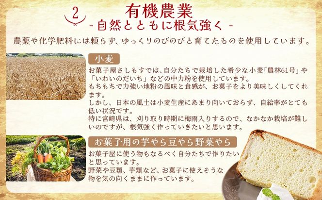 ＜シフォンケーキ4種セット 計8個（4種類×2個）＞翌月末迄に順次出荷【 ケーキ 洋菓子 焼き菓子 お菓子 スイーツ セット 自然卵 無農薬 有機栽培 マーブルココア バナナ アールグレイ 】【b0863_sa】