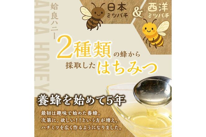 a1002 《期間限定！》選べる容量！姶良ハニー(250g・500g)【原電設工業】姶良市 国産 ハチミツ はちみつ 蜂蜜 百花蜜 蜜 常温 常温保存