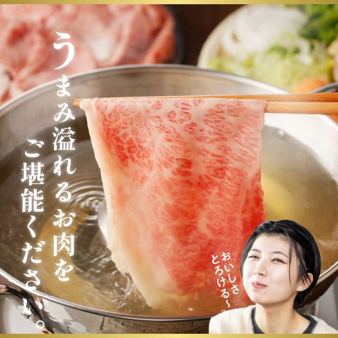 宮崎牛 ロースしゃぶ　N023-YZC004