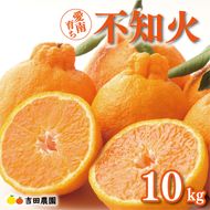 数量限定 先行予約 不知火 10kg 24000円 みかん しらぬい デコポン と 同品種 mikan 蜜柑 ミカン 産地直送 国産 農家直送 期間限定 特産品 ゼリー ジュース アイス 等に 人気 限定 甘い 果実 果肉 フルーツ 果物 柑橘 美味しい おいしい ジューシー 吉田農園 愛南町 愛媛県