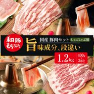 和豚もちぶた お試しセット しゃぶしゃぶ用 1200g 400g×3部位 3～4人世帯向け 豚バラ 肩ロース モモ