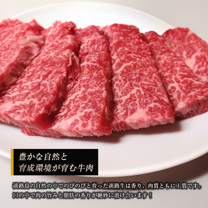 淡路牛 ロース（焼き肉用） ８００ｇ