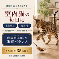 ビューティープロ キャット 成猫用 1歳から 1.5kg ｘ8(ケース単位) キャットフード