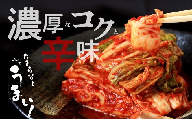 099H4178 【リピーター続出！】白菜キムチ 1kg【新鮮野菜 高評価 人気 惣菜 きむち 漬物 韓国グルメ おつまみ 家計応援】
