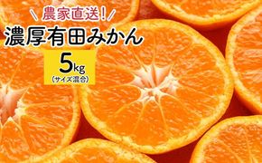 農家直送！濃厚有田みかん5kg(サイズ混合) 	AO010