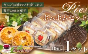 ポムポムセット（10個入り）　K351-003