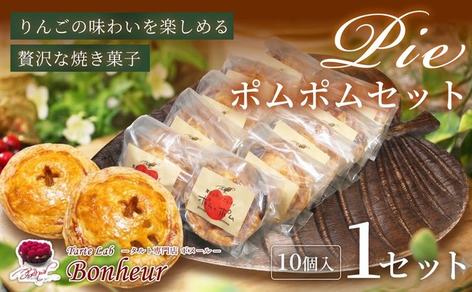 ポムポムセット（10個入り）　K351-003