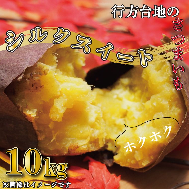 [緊急支援品] 訳あり 無選別 行方台地のさつまいも 熟成 シルクスイート 約10kg [2026年4月下旬より順次発送]|シルクスイート 茨城県(CU-85-6)