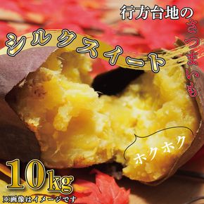 【緊急支援品】 訳あり 無選別 行方台地のさつまいも 熟成 シルクスイート 約10kg 【2026年4月下旬より順次発送】｜シルクスイート 茨城県(CU-85-6)