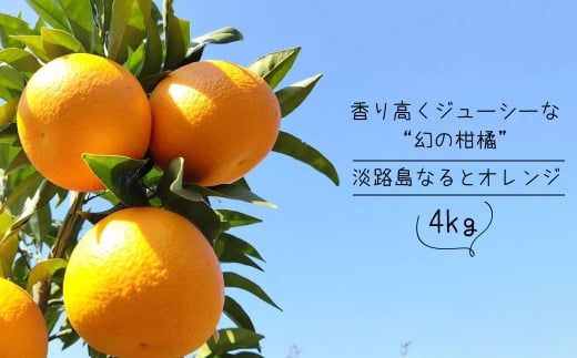 淡路島なるとオレンジ 4kg 【発送時期2026年3月～4月頃】