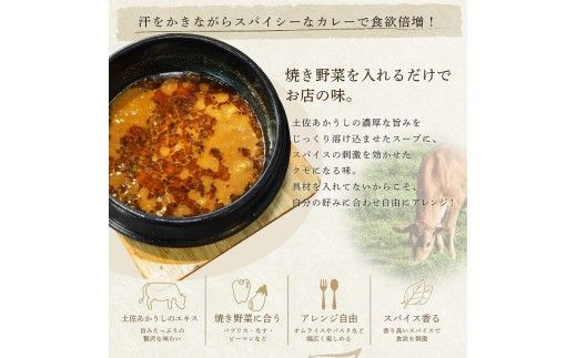 土佐赤牛 牛骨スープカレー 10セット カレー レトルトカレー レトルト あかうし 惣菜 食品 ご当地カレー 時短 即席 備蓄 便利 簡単調理 簡易包装