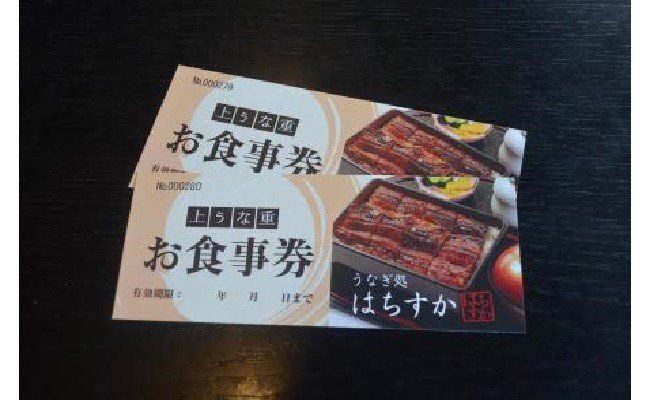 鰻料理専門店「うなぎ処はちすか」お食事券 2枚 9,460円分 国産 日本料理 うなぎ 蒲焼 白焼き 肝 出汁 うな丼 うな重 上うな重 ひつまぶし 食事 券 チケット うなぎ屋　H026-041