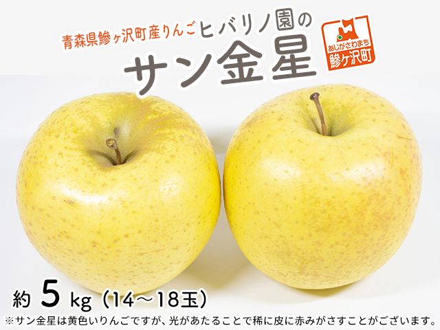 りんご 訳あり 青森 サン金星 リンゴ 約 5kg （14～18玉） 青森県 鰺ヶ沢町産 ヒバリノ園 フルーツ 果物 白神山地 林檎 産地直送 ※オンライン決済のみ 