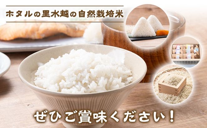 無洗米 ホタルの里水越の自然栽培米 約2.1kg 300g×7袋 合同会社点天《30日以内に発送予定(土日祝除く)》洗わなくてOK 米 コメ 小分け 便利 熊本県産---mf_tnmsn6nen_24_30d_10000_2100g---