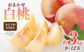 FYN6-115 ≪2026年先行予約≫8月発送 山形県産 品種おまかせ 白桃 約3kg（8～12玉） 秀品 2026年8月上旬から順次発送 桃 もも モモ 果物 くだもの 夏果実 フルーツ 産地直送 山形県 西川町 月山