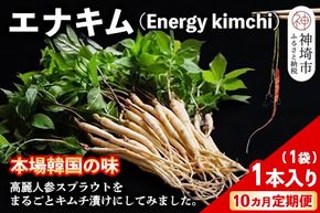 【10カ月定期便】【一子相伝】秘伝のエナキム(高麗人参スプラウト・キムチ)1袋1本入り【本場の味 秘伝の味 韓国 ピリ辛 健康志向 滋養強壮】(H104312)