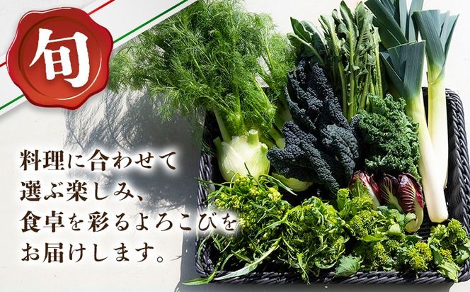 野菜 旬の イタリア野菜 セット 5～7種 《11月下旬-3月中旬頃出荷》JA晴れの国 矢掛アグリセンター 野菜 ねぎ ネギ 国産 イタリア リーキ プレコーチェ カタローニャ ルーコラ ズッキーニ トマト 玉ねぎ 西洋 送料無料---osy_cjyaibs_h113_26_10000_s---