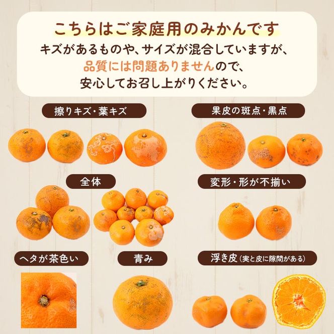 家庭用 完熟 有田みかん5kg+250g（傷み補償分）サイズ混合 