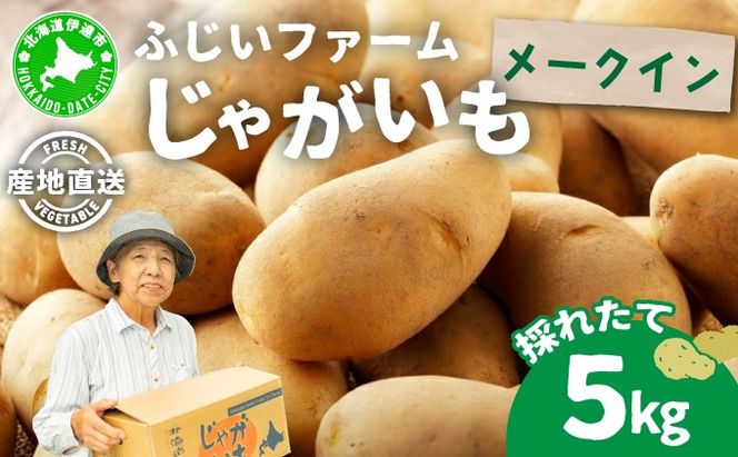 ＜先行予約＞北海道産 じゃがいも(メークイン) 約5kg | ジャガイモ 馬鈴薯 ポテト 芋 イモ 国産 野菜 人気 ふじいファーム