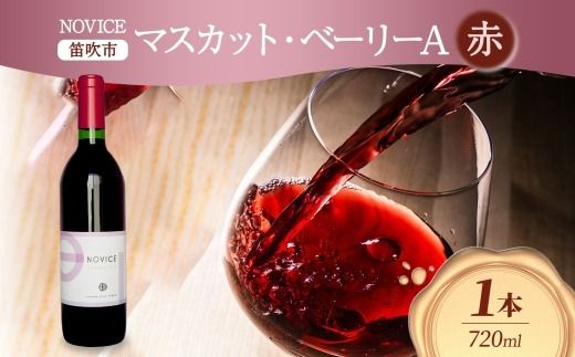 yRJszԃC NOVICE }XJbgEx[[A 720ml×1{ t{g 쒆 R Js 177-7-13