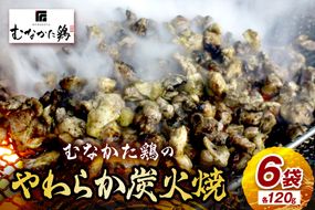 【道の駅むなかた】むなかた鶏肩肉使用 やわらか 鶏の炭火焼_HA0721