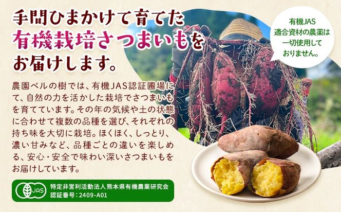 有機JAS認定 紅はるか 選べる 5kg 10kg 農園ベルの樹《12月上旬-3月下旬頃出荷》熊本県 南阿蘇村 さつまいも オーガニック 有機栽培 薩摩芋---sms_blkbhk_12j3g_r7_11500_5kg---