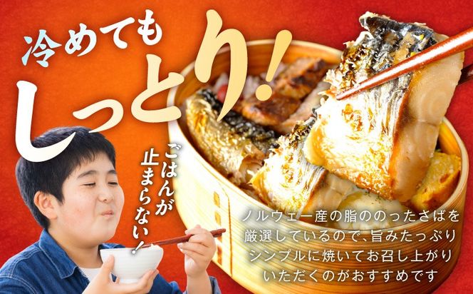 099H4469 お手軽 訳アリ塩サバ500g【魚 青魚 塩さば 塩鯖 塩サバ 切身 塩焼き 焼きさば 焼き鯖 人気 冷凍 冷凍食品 おかず 弁当 惣菜】