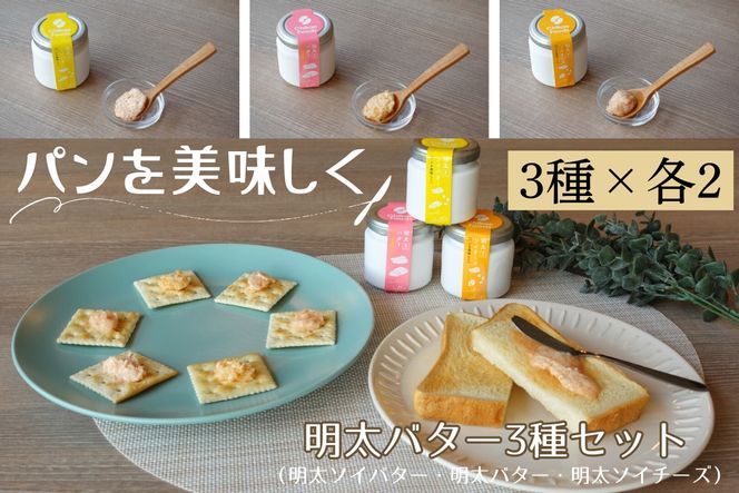 y@szp@o^[E\Co^[E\C`[Y3×QZbgyt[Yz_HA1669