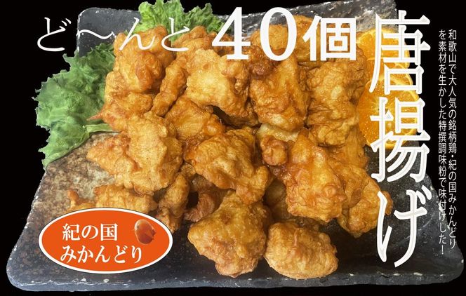 DO6004n_紀の国みかんどり 特選 唐揚げ【からあげ 鶏から 冷蔵 チルド 惣菜 弁当 おかず】