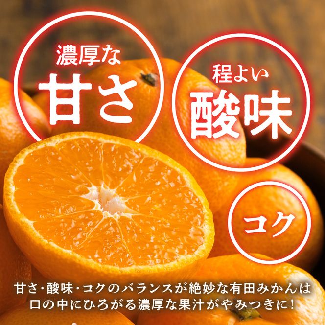 BL6500_【2026年先行予約】産地直送　和歌山県産 有田みかん 5kg