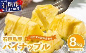 【訳あり】 石垣島産 パイナップル 詰め合わせ 約8kg (6～20個)《2026年4月下旬発送》 KP-16